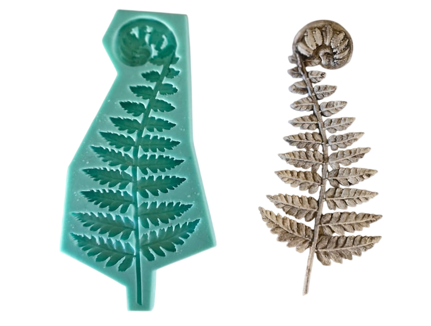 Fern - ( S_244 ) 16cm x 8cm