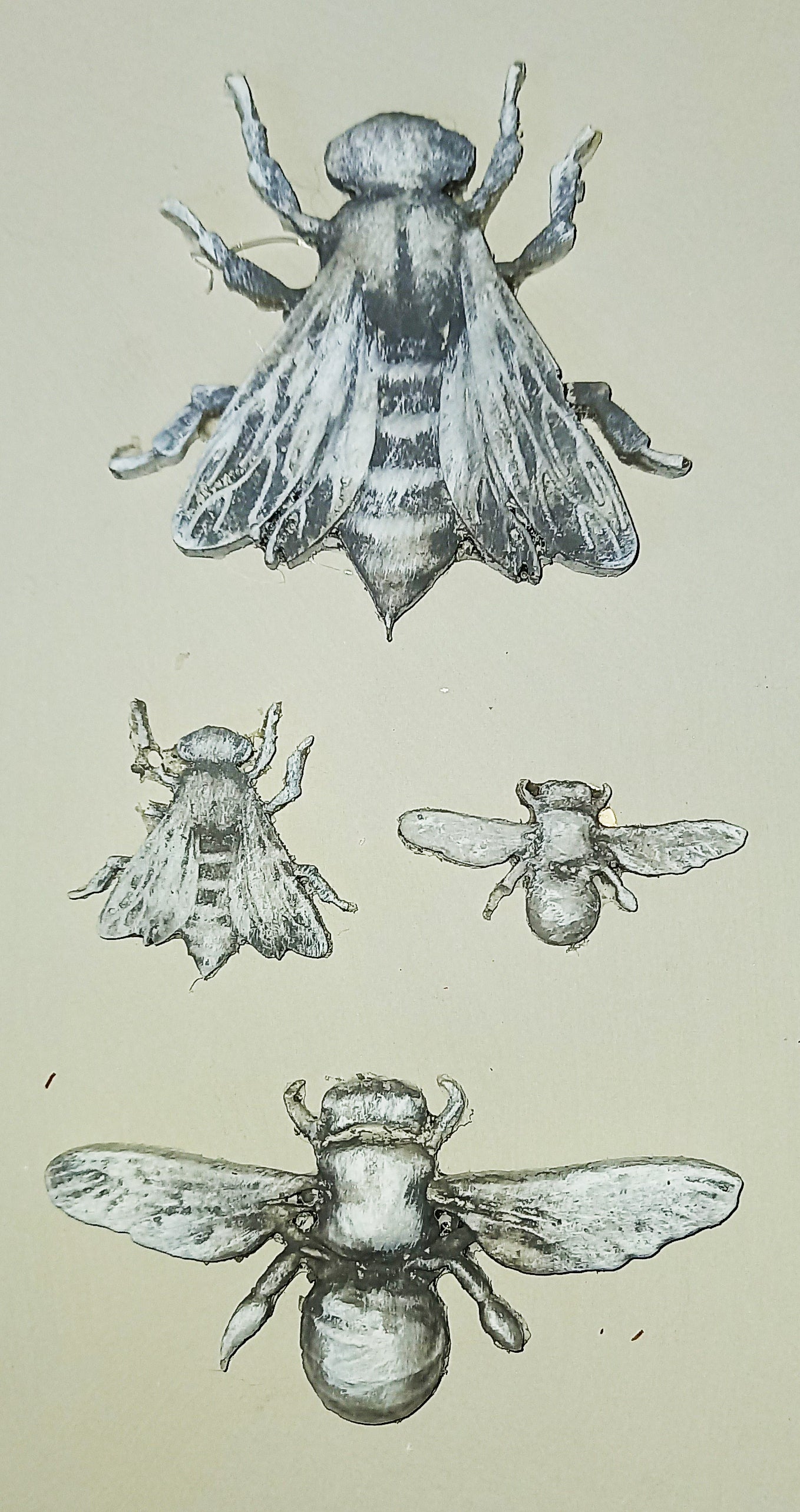 Animal Single Mould - ( A_02 ) 11cm x 11cm x 1.5cm