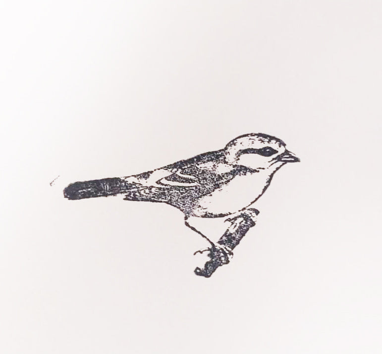Stamp ( S_36 ) 6cm x 3xm