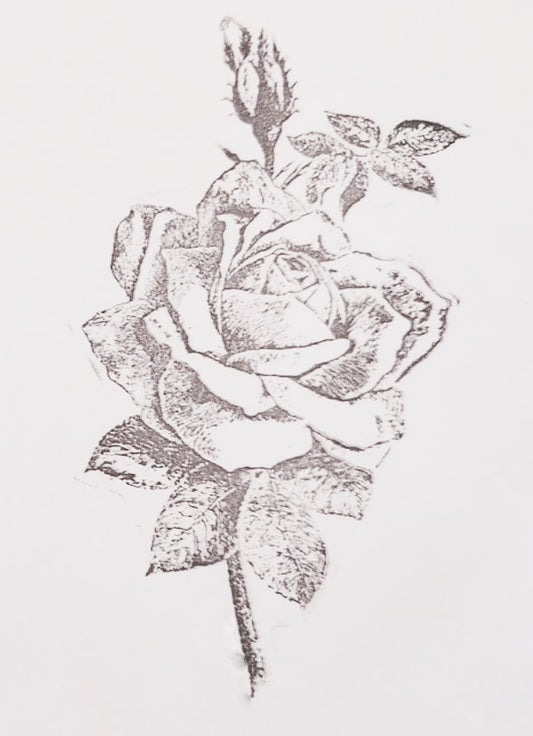 Stamp - ( S_40 ) 14cm x 9cm