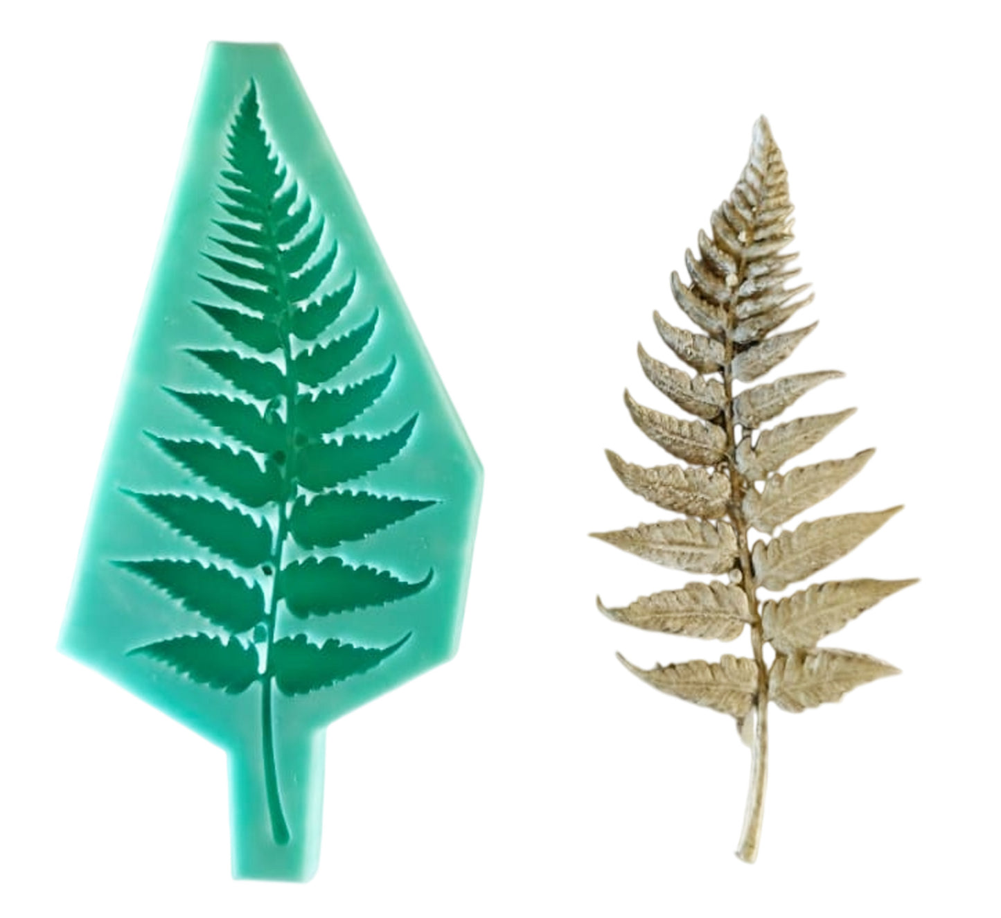Fern - ( S_243 ) 11cm x 6cm