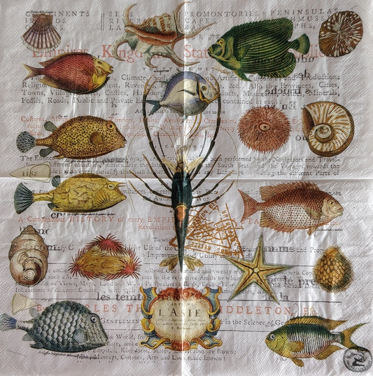 Ser_28 (32 x 32cm)