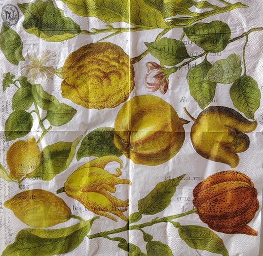 Ser_25 (32 x 32cm)