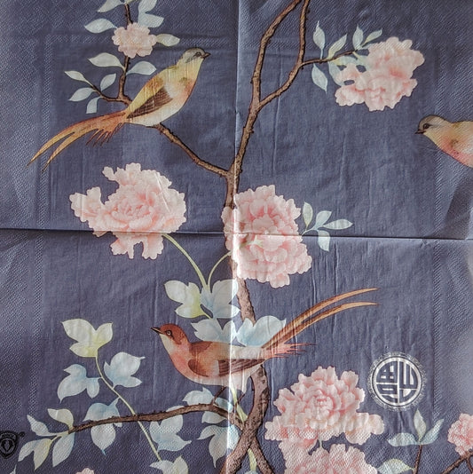 Ser_31  (32 x 32cm)