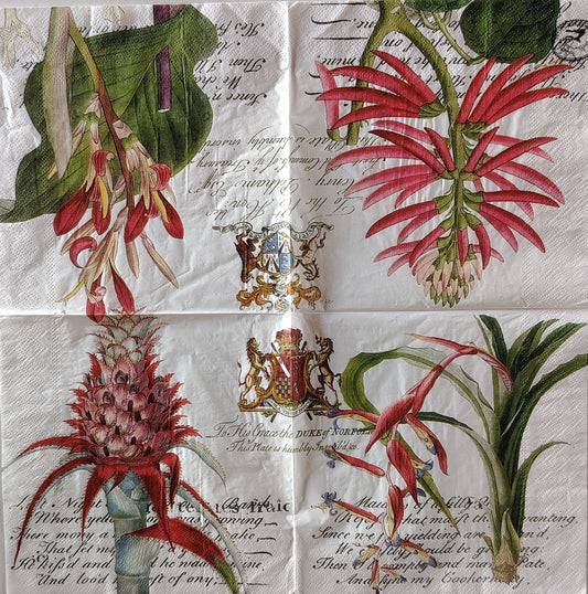 Ser_20 (32 x 32cm)